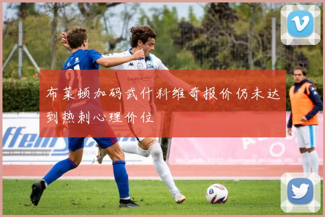 布莱顿加码武什科维奇报价仍未达到热刺心理价位